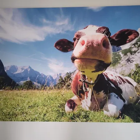 Zuhause In Hofs ,leutkirch Im Allgaeu Διαμέρισμα Leutkirch im Allgäu